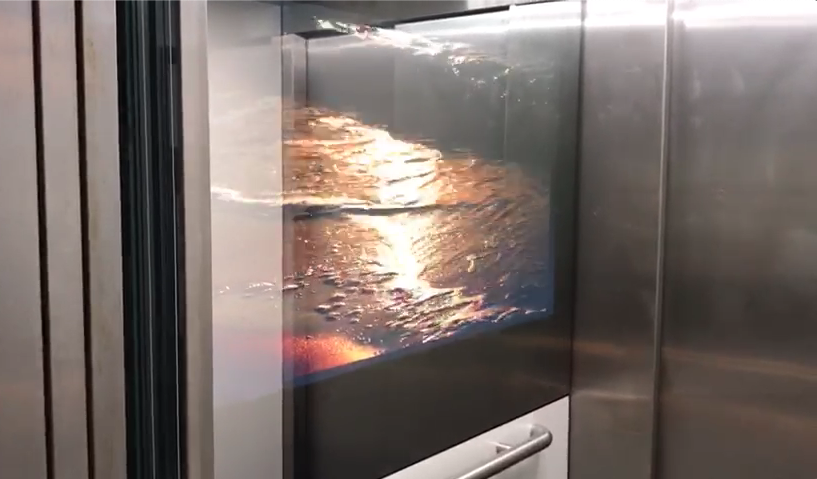 Captura de pantalla 2020-03-18 a las 15.48.15