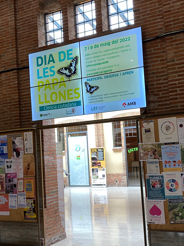 videowall oko sant boi